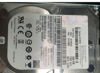 IBM Server Hard Drives 250G SATA 7.2K 6GB 81Y9723 81Y3850 Hard Drives
