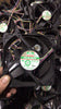 Yongli Magic MGT12048YB-W32 Dc48v 0.22a 12038 12cm Temperature Control Cooling Fan